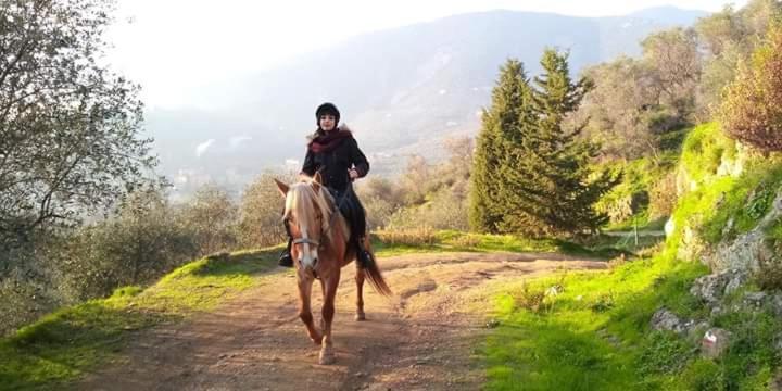 Villamorosa 3*