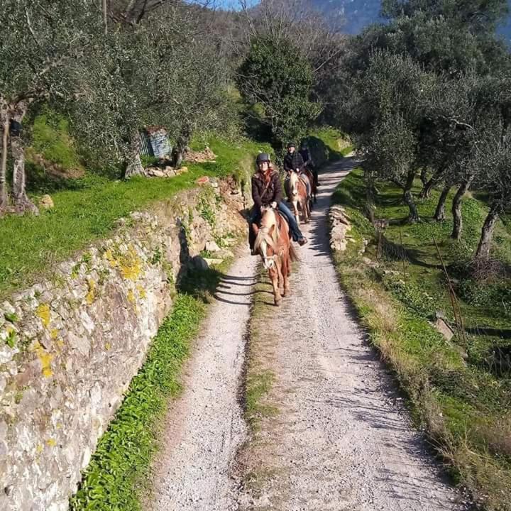 Villamorosa Pensión